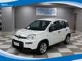 Fiat Panda Hybrid 1.0 FireFly 70cv EU6 Bianco - thumbnail 1