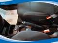 Fiat Panda Hybrid 1.0 FireFly 70cv EU6 Bianco - thumbnail 9