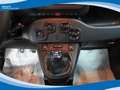 Fiat Panda Hybrid 1.0 FireFly 70cv EU6 Bianco - thumbnail 7