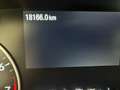 Ford EcoSport 1.000 BENZINA 125 CV ACTIVE + 4 GOMME INVERNALI Grigio - thumbnail 15
