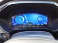 Ford Kuga 2.0 EcoBlue Aut. ST-LINE Schwarz - thumbnail 10