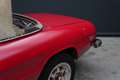 Alfa Romeo Spider 2000 "Coda Tronca" Restoration project with hardto Rood - thumbnail 17