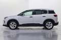 Citroen C5 Aircross Hybrid Plus e-DCS6 136 Weiß - thumbnail 8