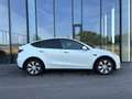 Tesla Model Y Long Range AWD 79kWh / ACC / Weiß - thumbnail 6