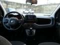 Fiat Panda HYBRID 1.0 GSE E6D TECH RADIO 5-SITZER Grijs - thumbnail 17