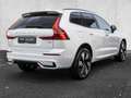 Volvo XC60 T6 AWD Plus Dark Plug-In Weiß - thumbnail 4