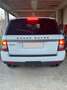 Land Rover Range Rover Sport 3.0 tdV6 SE 211cv auto 8m - thumbnail 8