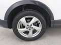 Audi Q3 Q3 35 TDI S tronic Business Advanced Bianco - thumbnail 12