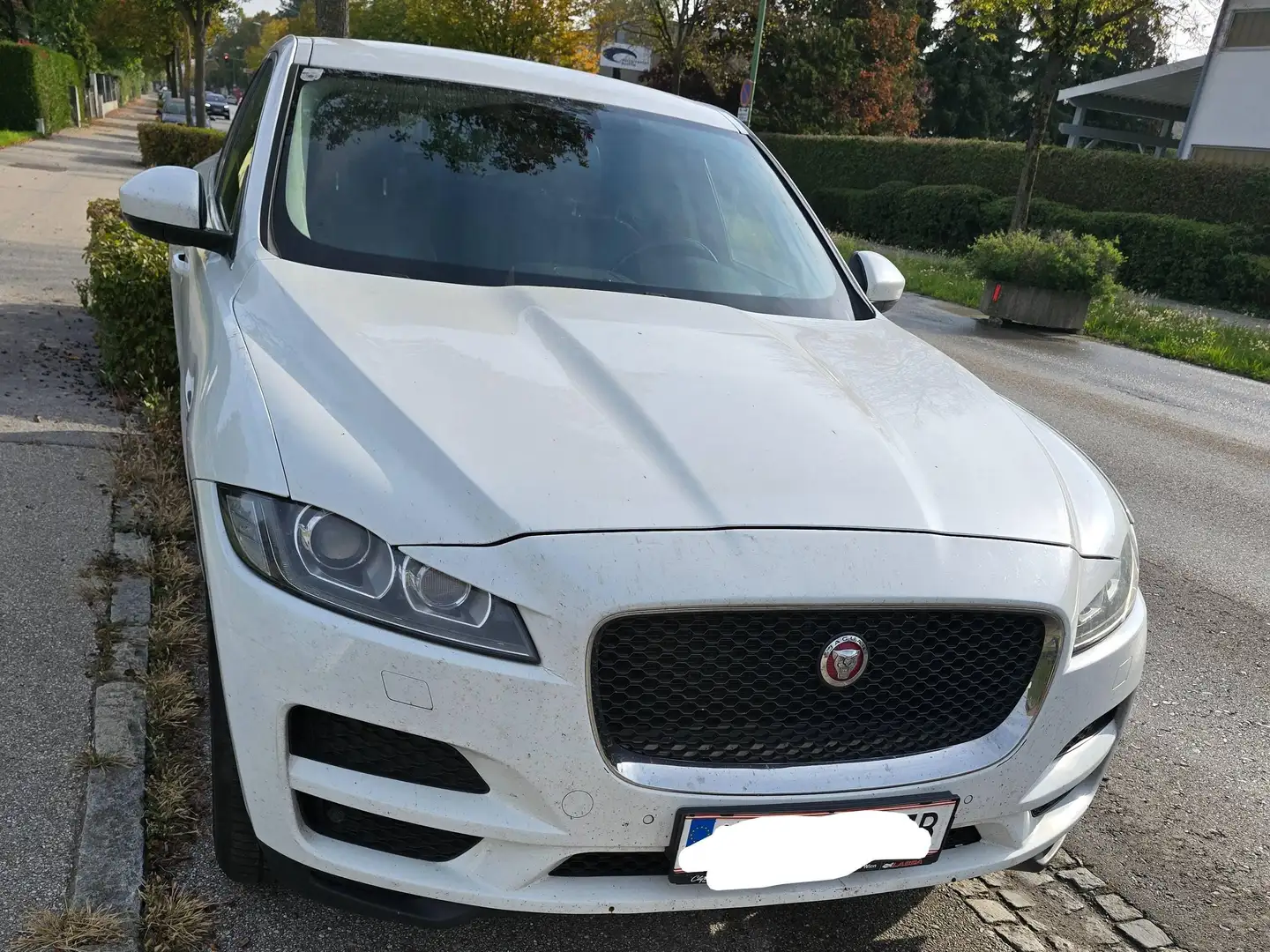 Jaguar F-Pace F-Pace 20d AWD Prestige Aut. Prestige Weiß - 2