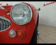 Austin-Healey 3000 3.0 Rosso - thumbnail 13