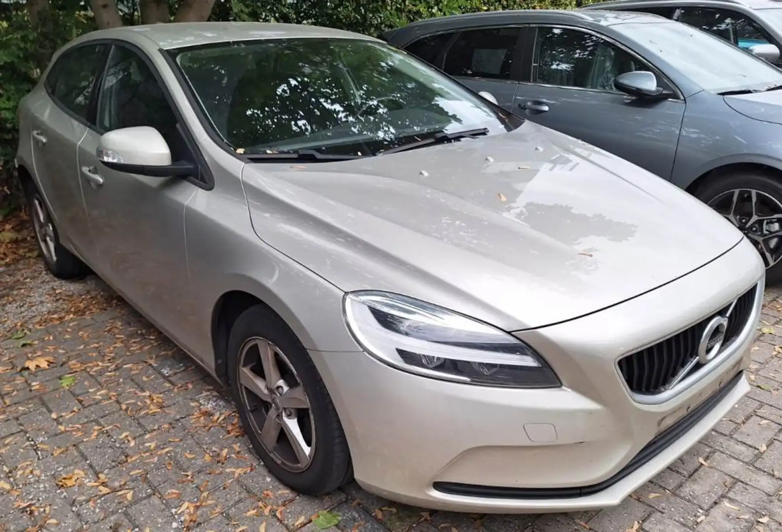 Volvo V40 D2 120 ch Business Gris - 2