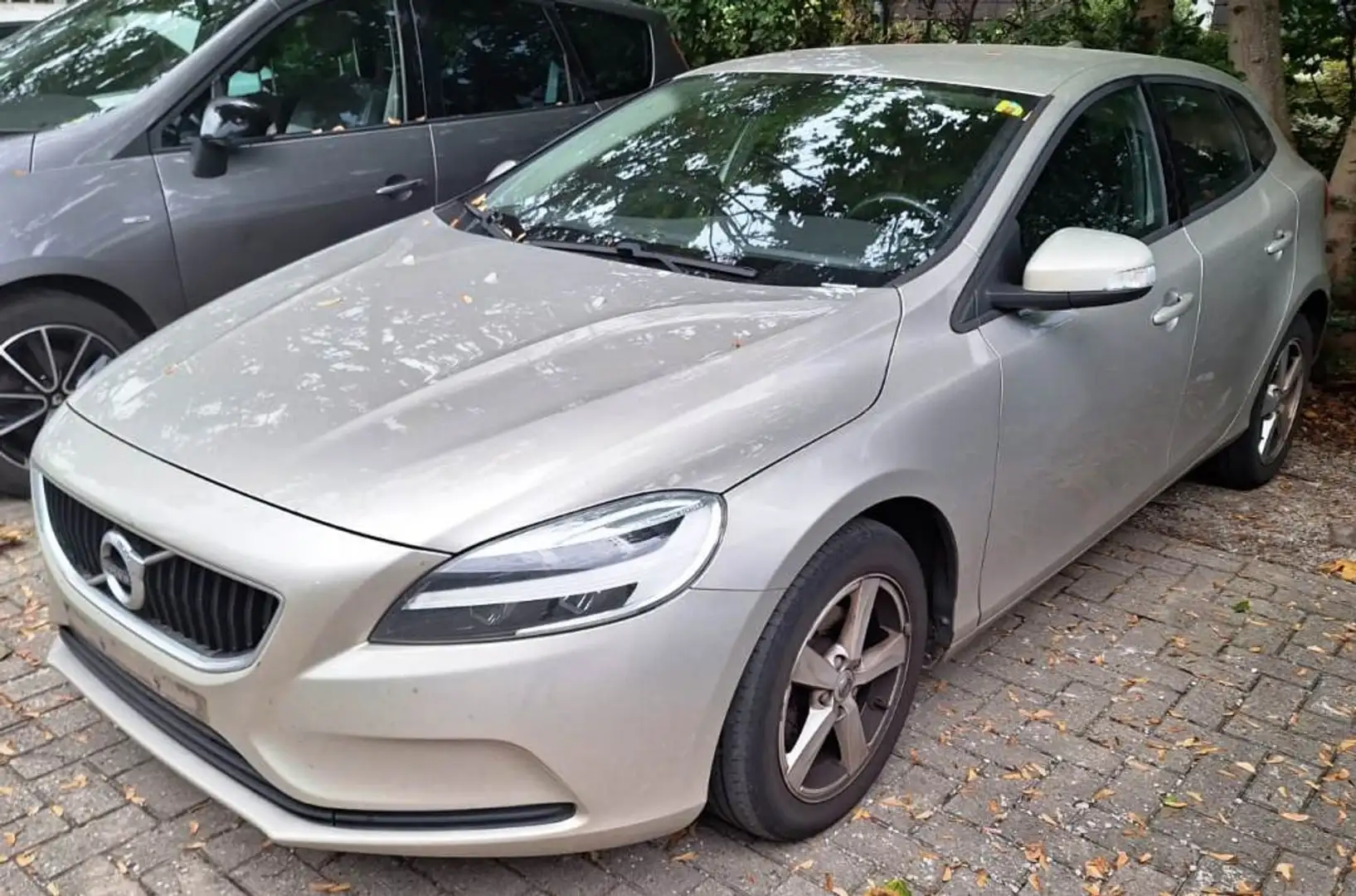 Volvo V40 D2 120 ch Business Gris - 1