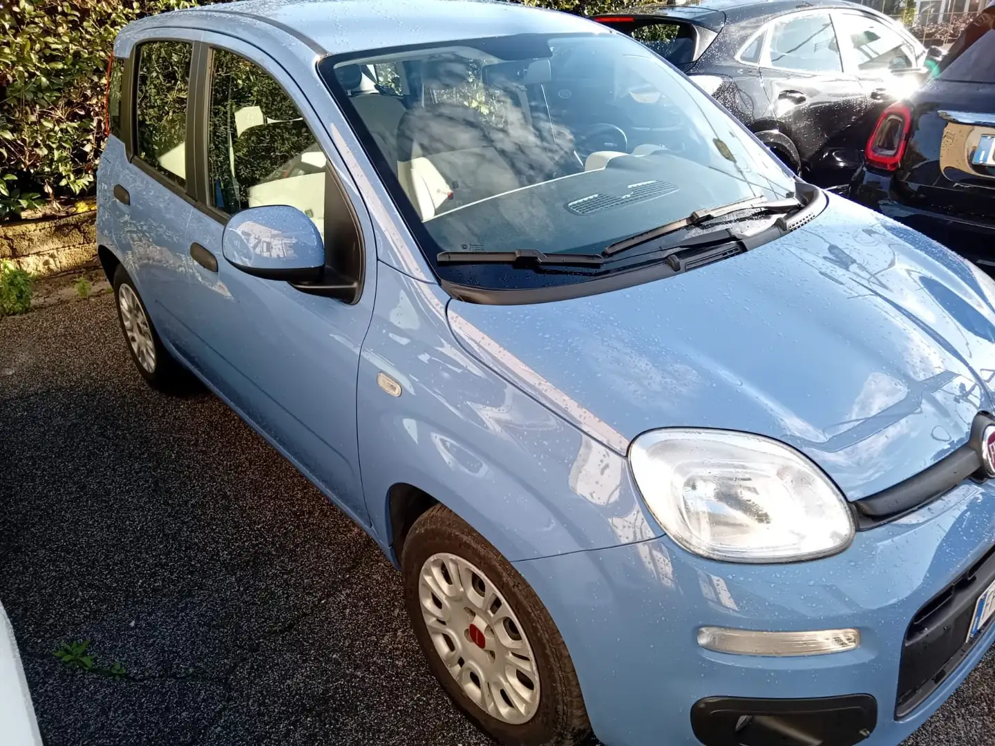 Fiat Panda Panda 1.3 mjt 16v Easy s Bleu - 2