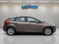 Ford Focus 1.5 TDCi E6 88kW 120CV Trend Marrón - thumbnail 4