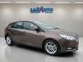 Ford Focus 1.5 TDCi E6 88kW 120CV Trend Marrón - thumbnail 5
