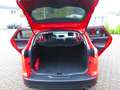 Ford Focus Turnier Trend AHK Rouge - thumbnail 8