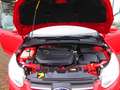 Ford Focus Turnier Trend AHK Rouge - thumbnail 9