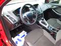 Ford Focus Turnier Trend AHK Rouge - thumbnail 18