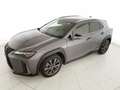 Lexus UX 250h 250h 2.0 F-Sport 2wd cvt Gris - thumbnail 30