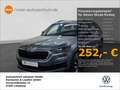 Skoda Kodiaq 2.0 TDI Tour 4x4 Alu LED Kamera ACC Sitzheizung uv Gris - thumbnail 1