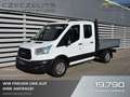 Ford Transit Transit Fahrgestell 2,0 TDCi L2H1 350 DK Trend Weiß - thumbnail 1