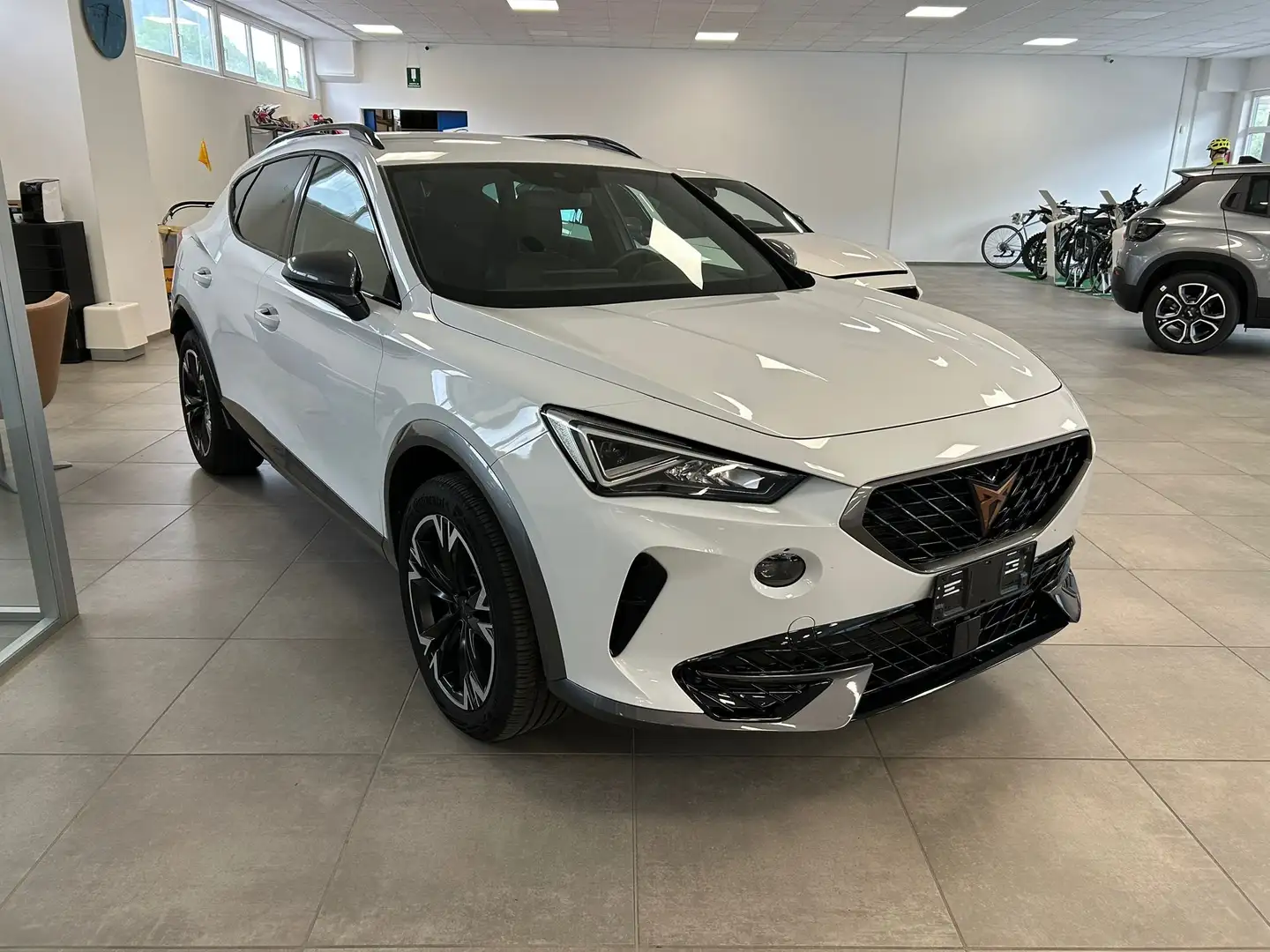 CUPRA Formentor 2.0 TDI 4Drive DSG Bianco - 1