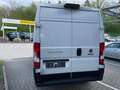 Fiat Ducato Kastenwagen L2H2 103kW (140PS) Weiß - thumbnail 6