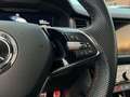 Skoda Kodiaq RS 4x4 2.0 TSI StandHZG Pano Canton Kamer Grau - thumbnail 23