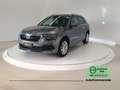 Skoda Kamiq Kamiq 1.0 TSI 110 CV DSG Style Grigio - thumbnail 3
