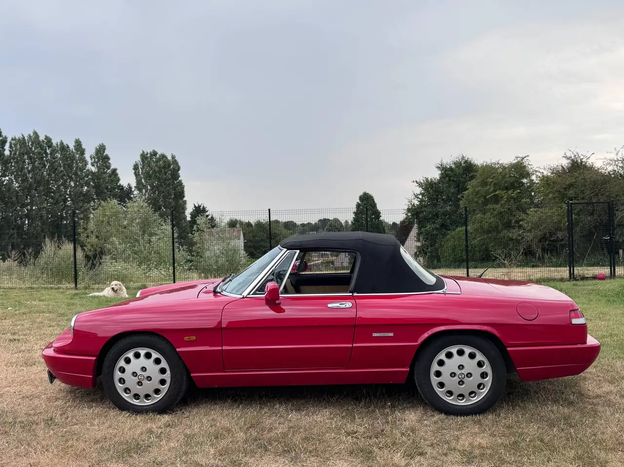 Alfa Romeo SPIDER EUROPA FL90 2.0L 126 CV, foto 9