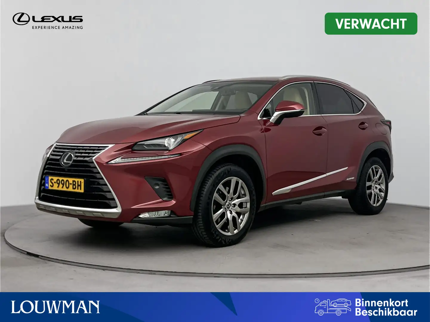 Lexus NX 300h AWD Luxury Line Limited | Navigatie | Stoelverwarm Rouge - 1