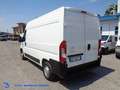 Citroen Jumper FURGONE Mh2 Bianco - thumbnail 6