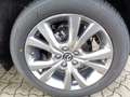 Mazda CX-30 2.0 SKYACTIV-G M Hyb. Exclus.-Line 2WD, sofort Bianco - thumbnail 13