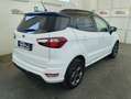 Ford EcoSport 1.5 TDCi 100 CV Start&Stop ST-Line  159,00 al mese Bianco - thumbnail 5