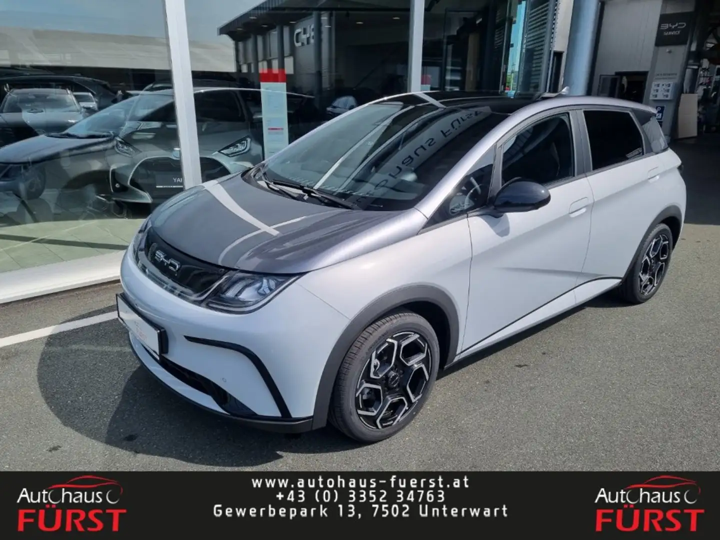 BYD Dolphin Design Weiß - 1