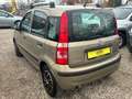 Fiat Panda 1.2 8V Dynamic *1.HD*Servo* TÜV Neu Braun - thumbnail 5