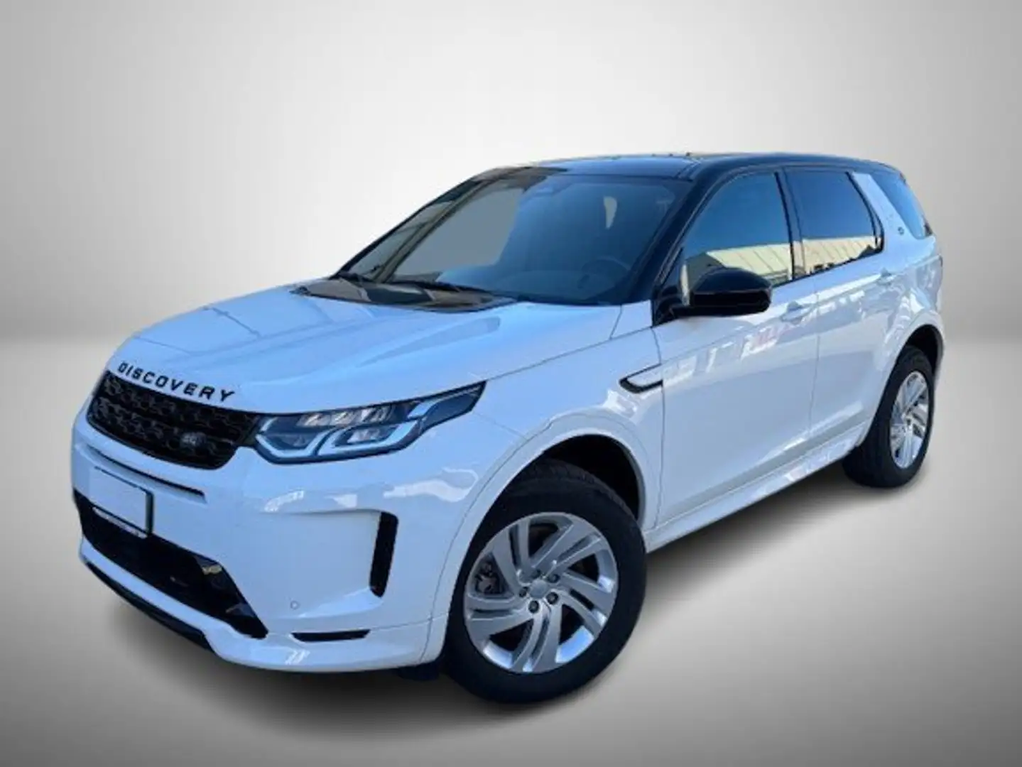 Land Rover Discovery Sport Discovery Sport 2.0d td4 mhev R-Dynamic S awd 163 Weiß - 1