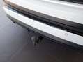 Audi Q4 e-tron Audi Q4 Sportback 55 e-tron quattro Weiß - thumbnail 20