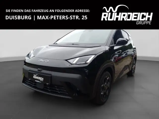 BYD Dolphin Navi Leder Digitales Cockpit 360 Kamera LED Apple