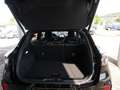 Ford Puma ST-Line Gold Edition 1.0i EcoBoost mHEV 155ps A7 G Noir - thumbnail 5
