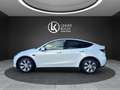 Tesla Model Y Maximale Reichweite Dual AWD Weiß - thumbnail 2