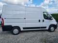 Fiat Ducato L2H2 NAVI AIRCO CRUISE CAMERA PDC Weiß - thumbnail 9