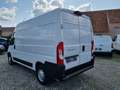 Fiat Ducato L2H2 NAVI AIRCO CRUISE CAMERA PDC Weiß - thumbnail 5
