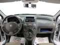 Fiat Panda Panda 1.2 4x4 Bianco - thumbnail 9