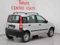 Fiat Panda Panda 1.2 4x4 Bianco - thumbnail 15