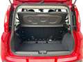 Fiat Panda My25 1.0 70cv Hybrid Panda Rot - thumbnail 8