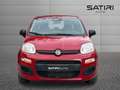 Fiat Panda My25 1.0 70cv Hybrid Panda Rot - thumbnail 3