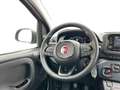 Fiat Panda My25 1.0 70cv Hybrid Panda Rot - thumbnail 11