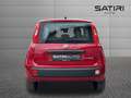 Fiat Panda My25 1.0 70cv Hybrid Panda Rot - thumbnail 4