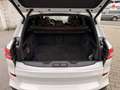 BMW X5 xDrive 30 d M Sport 2.Hand, Kamera, Pano Softclose Weiß - thumbnail 14